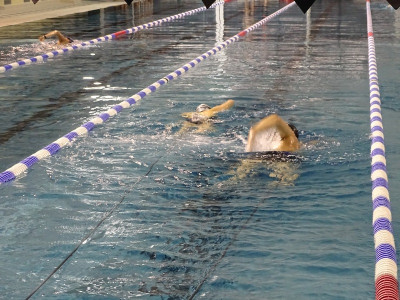 Entrainement Natation