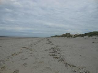 la plage Saint Quentin en tourmont